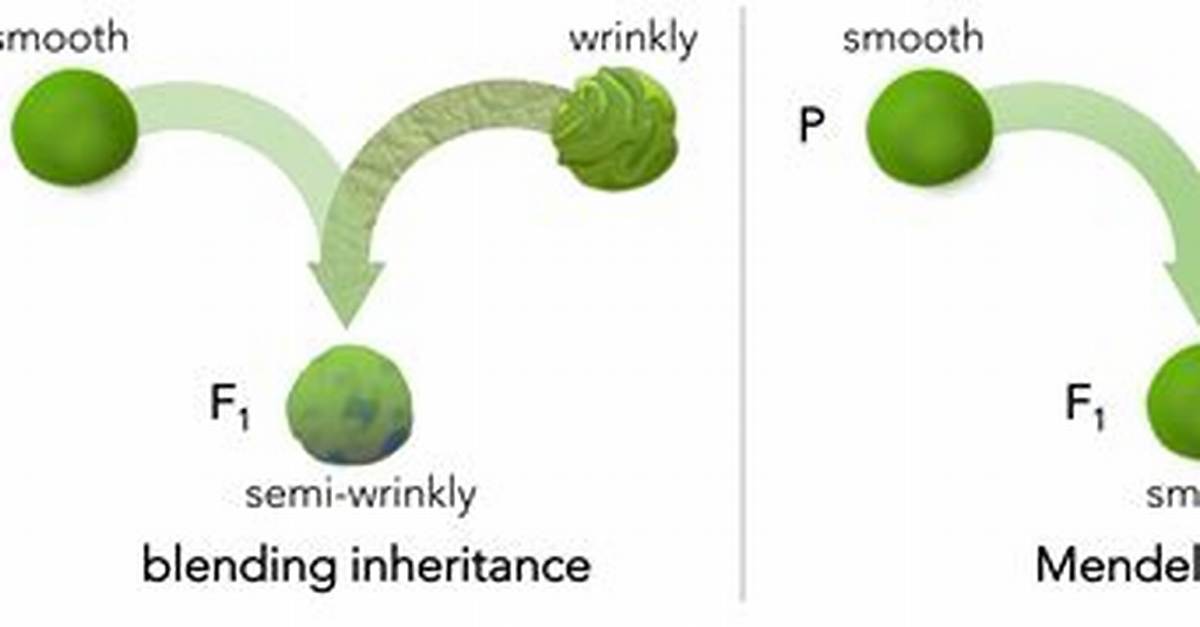 Blending Inheritance