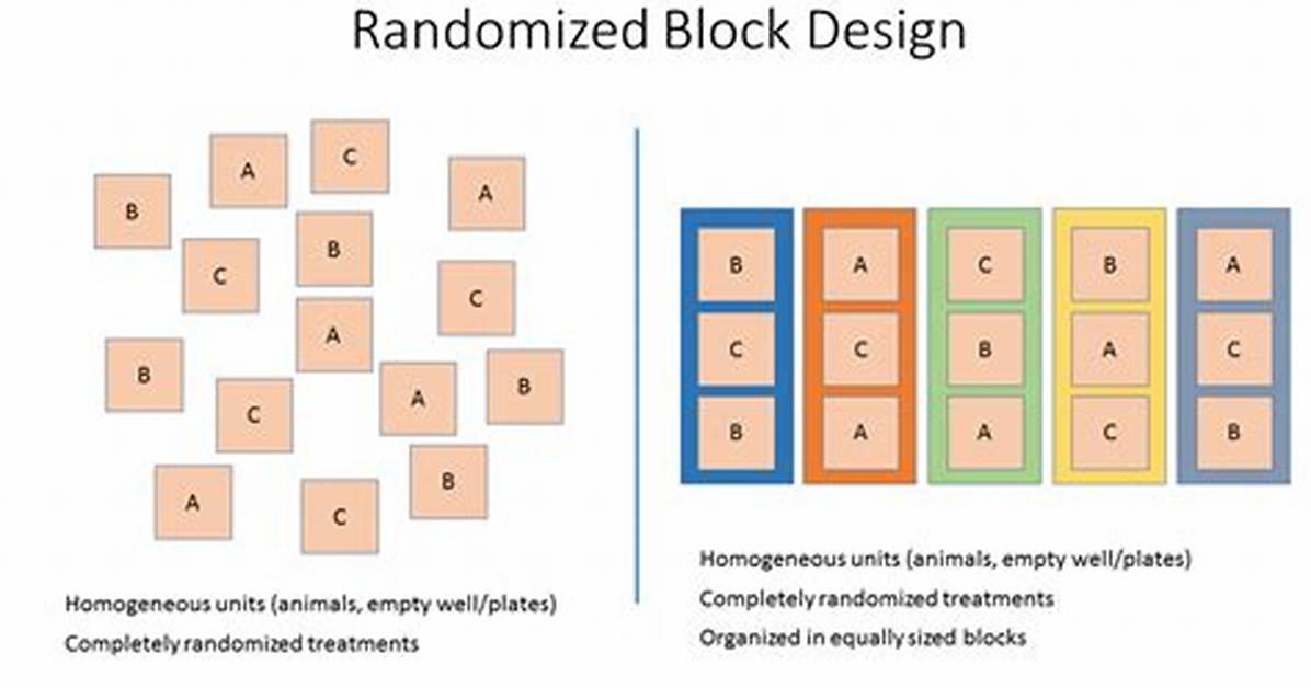 Block Design Experiment