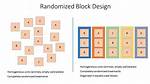 Block Design Experiment