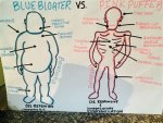 Blue Bloater