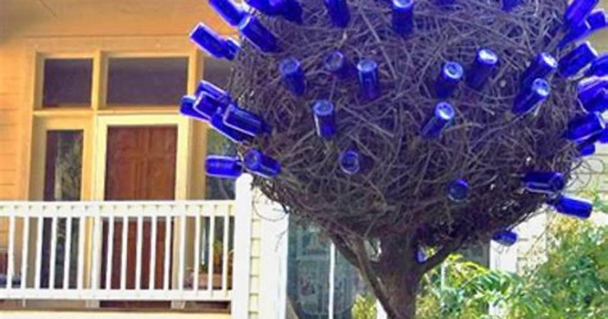 Blue Bottle Tree