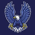 Blue Eagle Logo