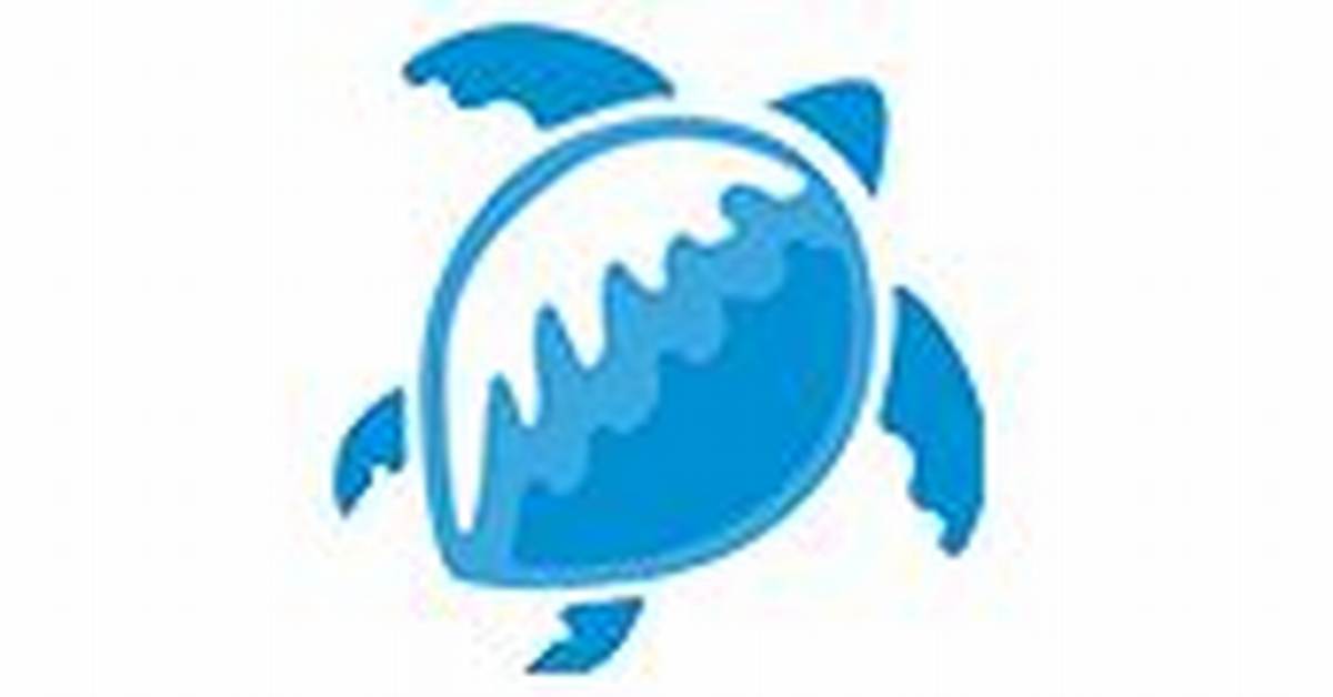 Blue Turtle Technologies - Bmc Software