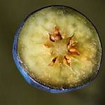 Blueberry Inside