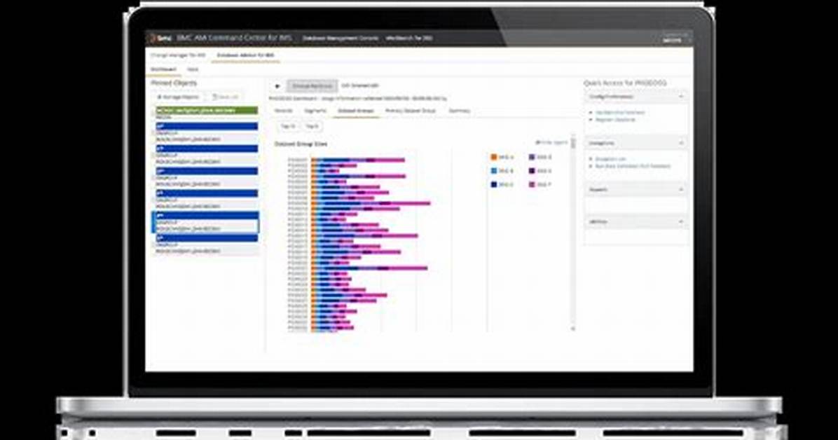 Bmc Ami Full Function for Ims™