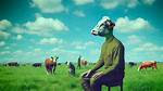 Boanthropy