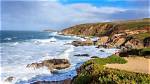 Bodega Bay Beach