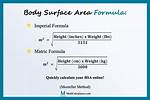 Body Surface Area Calculation