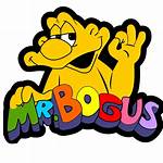 Bogus