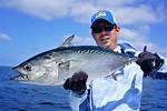 Bonito Fish
