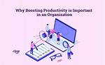 Boosting Productivity: Why Every Commercial Space Needs Moving Dollies