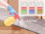 Borax Ants