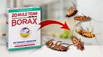 Borax Roach Killer