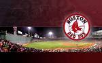 Boston Red ___