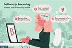 Bottom up Processing Psychology