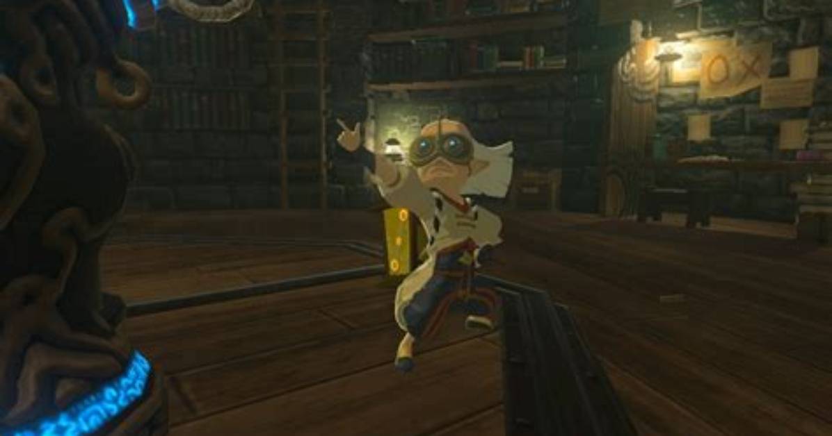Botw Robbie