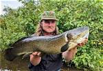 Bowfin Found In
