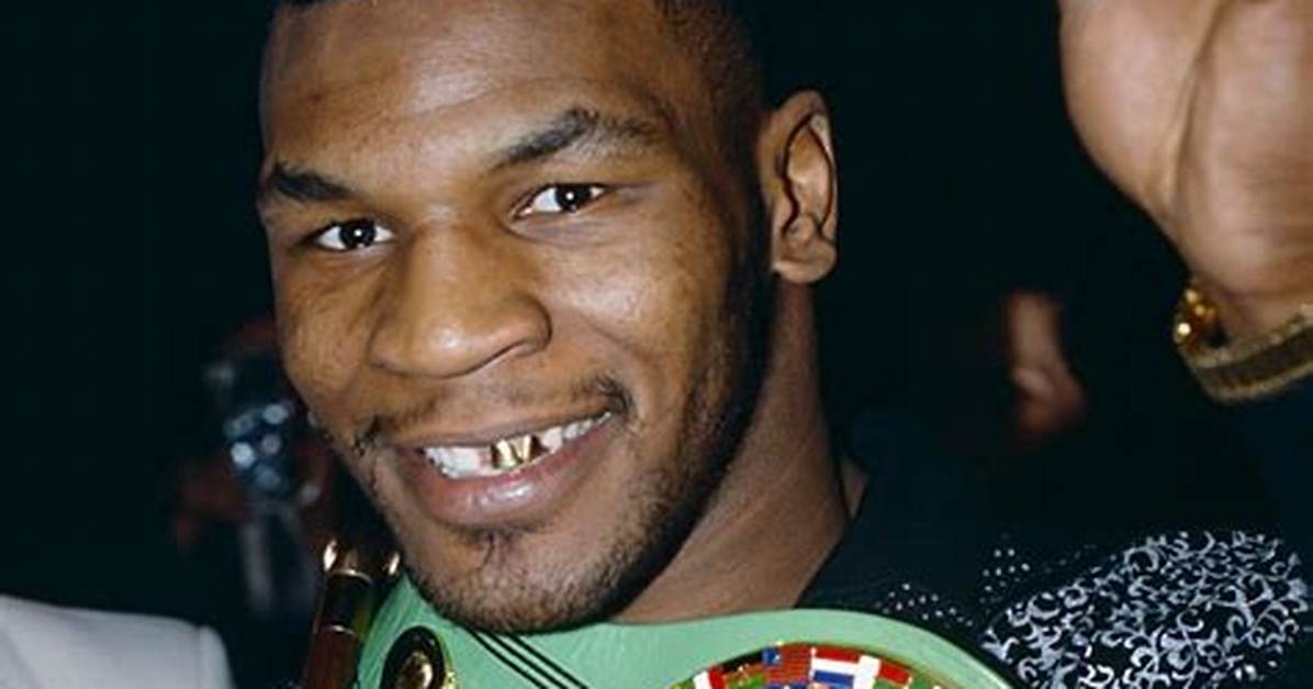 Boxer Tyson