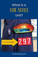 Boy Scout Unit