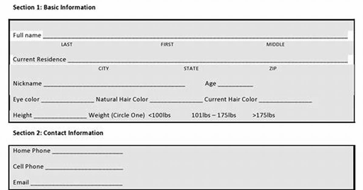 Boyfriend Application Form