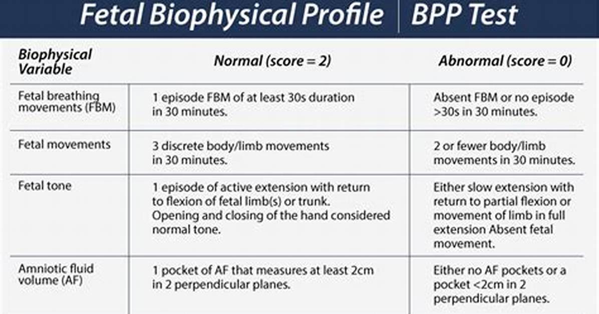Bpp Score