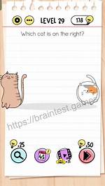 Brain Test Level 29 Detailed Solution & Answer