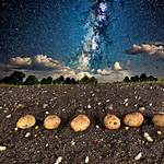 Bread Group