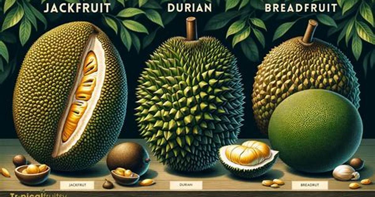 Breadfruit vs Jackfruit