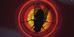 Breaking Bad Fly