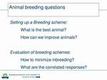 "Breeding" Questions