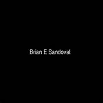 Brian E Sandoval Net Worth