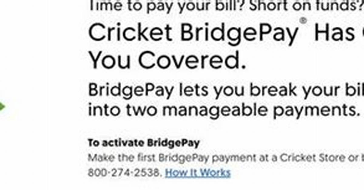 Bridgepay Cricket