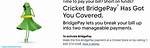 Bridgepay Cricket