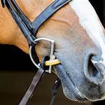 Bridle Attachment