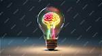 Bright Thoughts