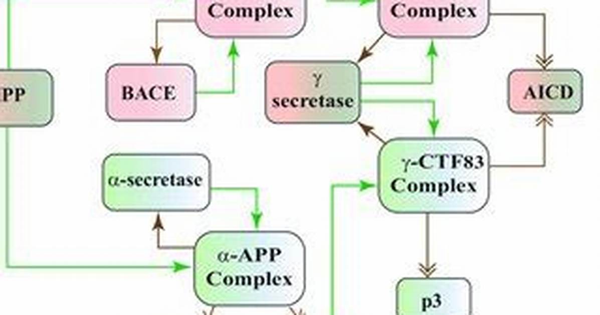 Brn Processing Times