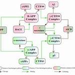Brn Processing Times