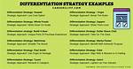 Broad Differentiation Strategy