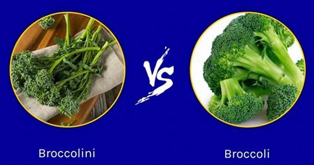 Broccoli vs Broccolini