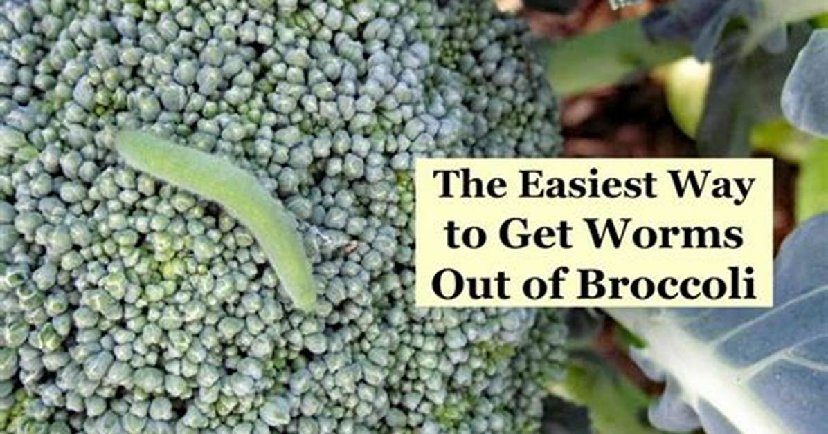 Broccoli Worms