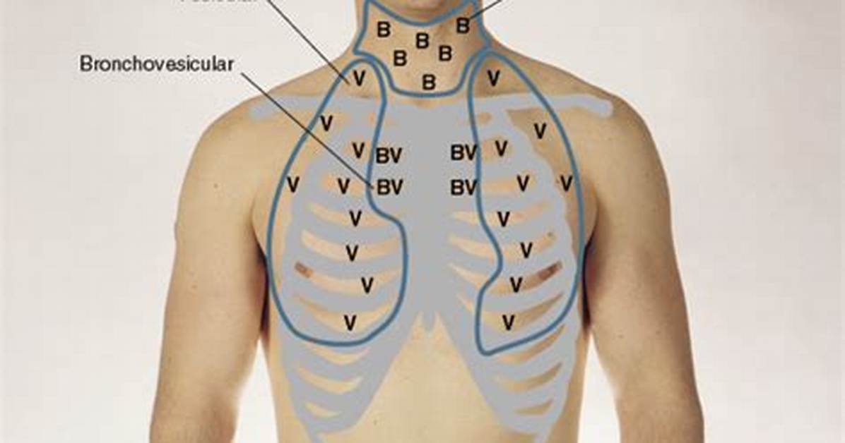 Bronchovesicular