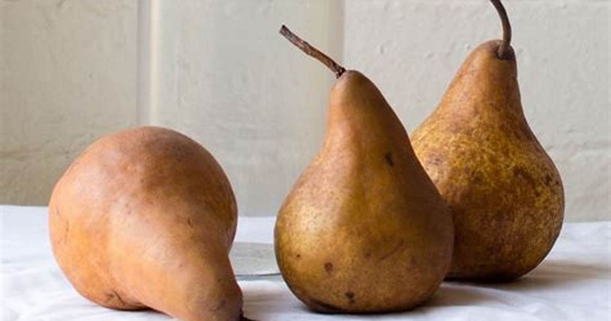 Brown Pear