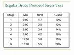 Bruce Protocol Stages