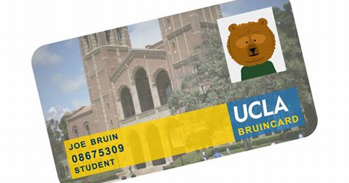 Bruincard