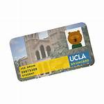 Bruincard