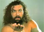 Bruiser Brody