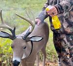 Buck Decoy