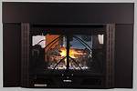 Buck Stove Insert