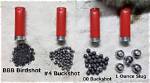 Buckshot and Bullets for Example
