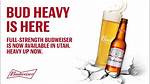 Bud Heavy